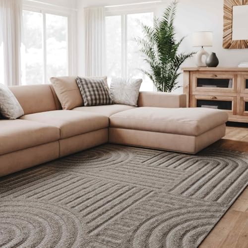 Interiyou Tapis Salon à Poils Courts Lecce - 140x200 Gris Clair - Intérieur pour Chambre, Bureau,...