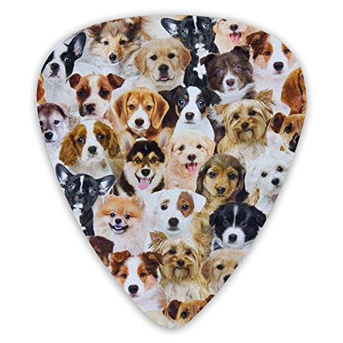 Médiators pour guitare Lifelike Dogs Puppies Pics de basse de qualité supérieure pour guitare électrique et guitares… - Les Beatles, Paul McCartney, John Lennon, RIngo Starr, George Harrison Médiators pour guitare Lifelike Dogs Puppies Pics de basse de qualité supérieure pour guitare électrique et guitares…