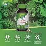 Nature's Way Parsley Leaf - Diuretic Support - 450mg Parsley leaf per capsule – Traditional Herbal Carminative & Spasmolytic Aid – Non GMO -100 Vegetarian Capsules