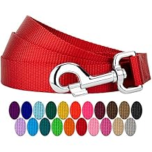 Country Brook Petz - Everyday Nylon Dog Leash - Strong, Durable, Solid Color Leash with Easy to Use Snap - 25+ Colors 1 Inch Wide, 6 Foot, Bright Red