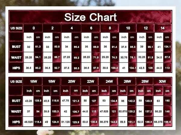 2 Pieces Velvet Mother of The Bride Pant Suits with Half Sleeves Formal Grandmother Pantsuit for Wedding - Image 4