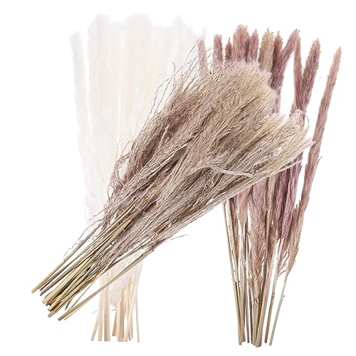 60 Peças Decoração Grama De Pampas Para Vaso De Chão Grama De Pampas Natural Buquês De Cana Seca Sec