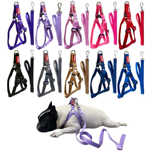 Coleira Peitoral com Guia para Cachorro - Regulagem Traseira (cinza)