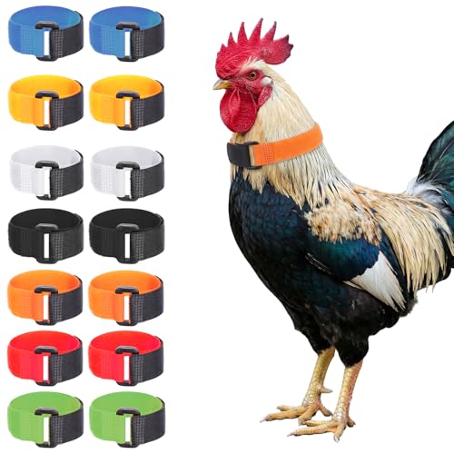 Qianyu 14 PCS No Crow Rooster Collar Adjustable Chicken Neckband Colorful Anti-Crow Neck Belt Comfortable Chicken Collar Set to Reduce Crowing for Chickens and Poultry Birds