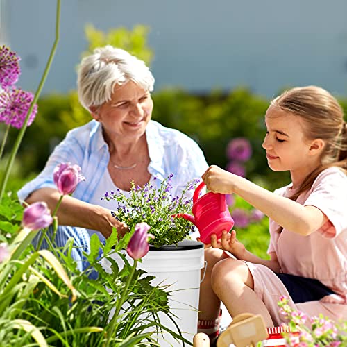 Tectsia 3 Pack Net Pots 6 Inch For 5 And 3.5 Gallon Bucket Net Pot Lids, Wide Lip Hydroponic Bucket Lids, Dwc Basket Lids For 5 Gallon Bucket #TOP4