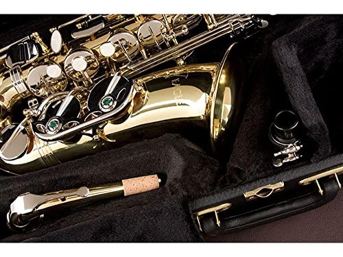 Saxofone Alto Eb SA500-LN Niquelado EAGLE