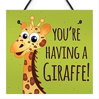 RED OCEAN You're Having A Giraffe Hanging Plaque Funny Friendship Gifts Birthday Best Friend Sign