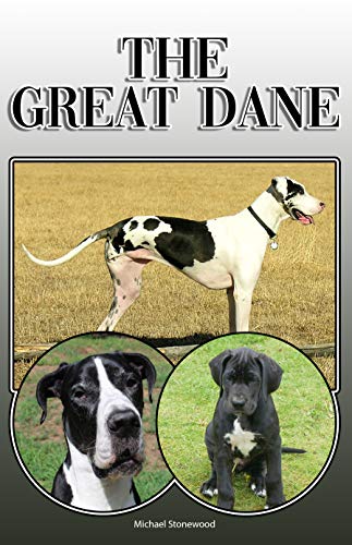 great dane buy