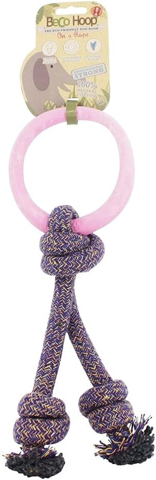 バッハ大全集（172CD＋CD－ROM） TMN と trf のCDアルバム