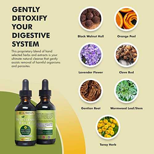 Go Nutrients Adrenal Edge & Intestinal Edge | Digestive Supplement | Energy & Fatigue Supplement Cortisol Manager Liquid Drops Non-Gmo, Gluten Free, 9 Powerhouse Herbs Keep Body's Adrenal Function #TOP2