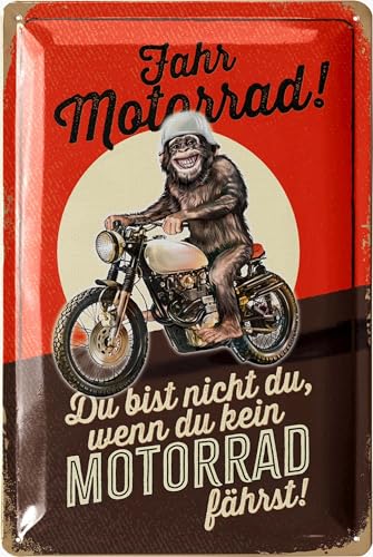 LANOLU Retro Blechschild, DU BIST NICHT DU Motorrad Geschenke für Männer, Geschenke für Motorradfahrer Biker Geschenke für Männer, Deko Motorrad, Geschenke für Biker - 20x30cm, 20254
