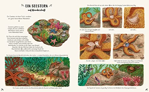 Wunder der Natur zum Innehalten und Staunen: 50 kleine Geschichten über alltägliche Naturereignisse: