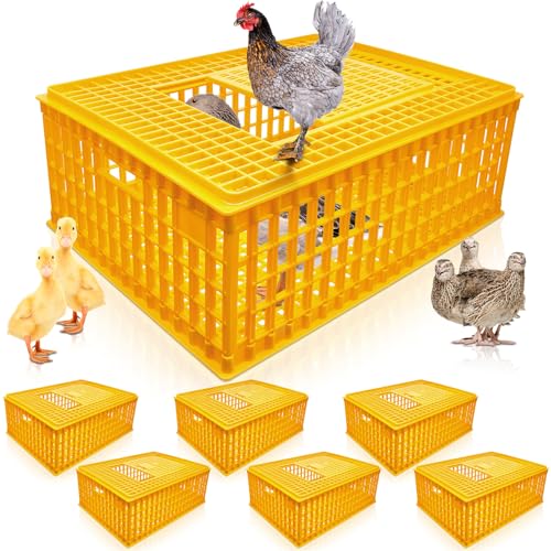 Sintuff Poultry Carrier Crate Plastic Chicken Transport Cage Bird Carriers Chickens Carrier Travel Crate Basket Box for Poultry Chicken Bird Duck Goose 29.5 x 21.7 x 11.6 Inch(4 Pcs)