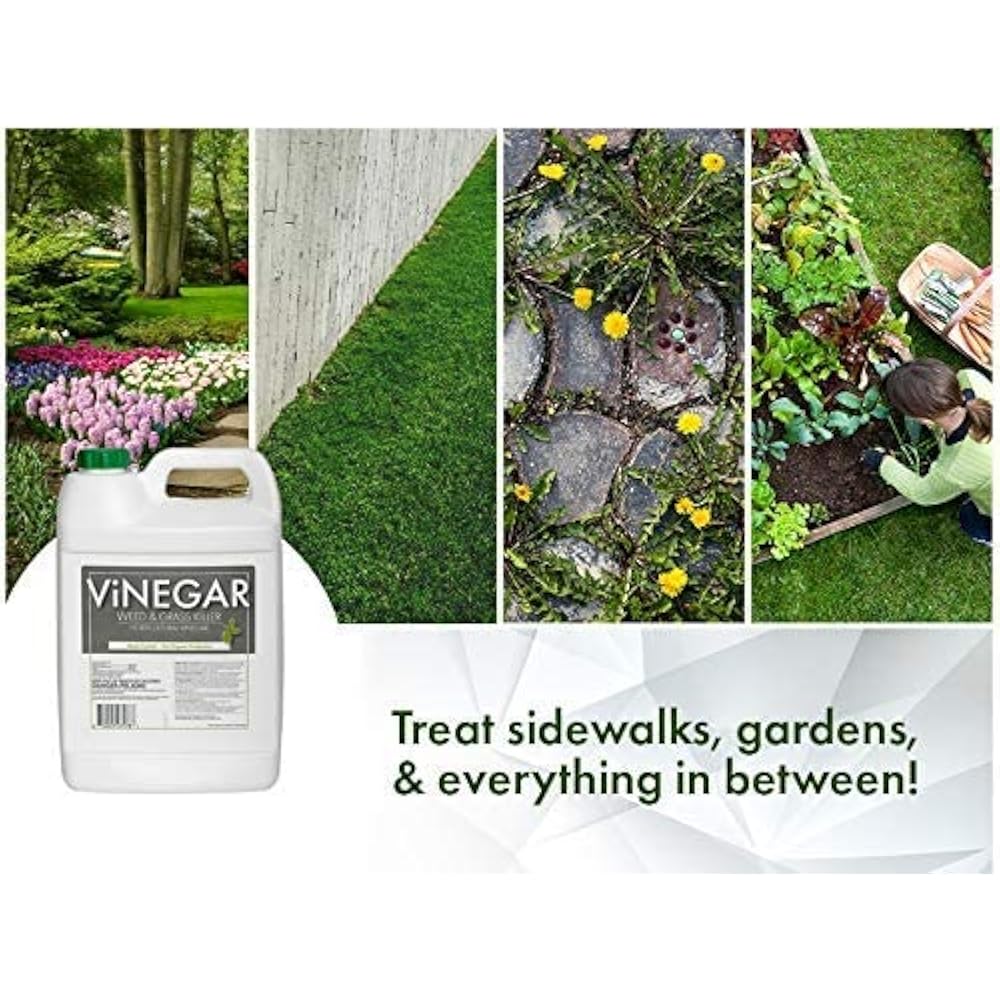 Organic Vinegar Weed & Grass Killer, Pet Safe 1 Gallon in Palestine