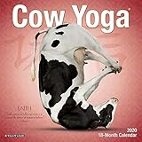 mini kalender 2019 vorlage  Willow Creek Press: Cow Yoga 2020 Mini Wall Calendar