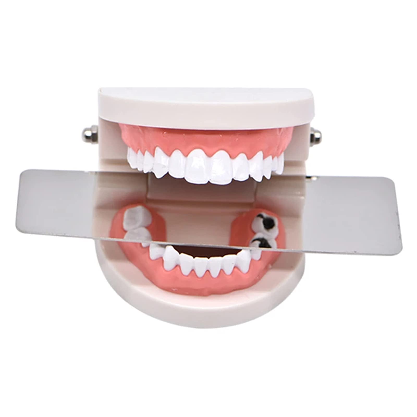 3 Stücke Dental Edelstahl Spiegel Oral Kieferorthopädische Fotografie Spiegel Dental Intra-oral Reflector Zahnarztwerkzeuge