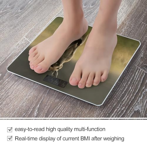 Báscula digital de baño con diseño de canguro y vidrio templado miniatura 4
