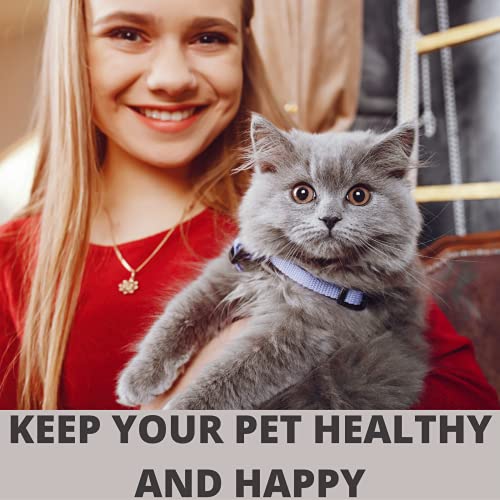 Image of Savic Gizmo Cat Litter Tray with Rim, 20 inch, Prevent Throwing of cat Litter, Durable, Lightweight, Easy to use and Reduces Odor, Perfect Starter for Toilet Training Your Kitten, Mocha | Large litter tray with anti-scatter rim for a cleaner cat toilet area.