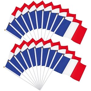 JUNEBRUSHS Frankreich Flagge 20 Stück Tischflaggen