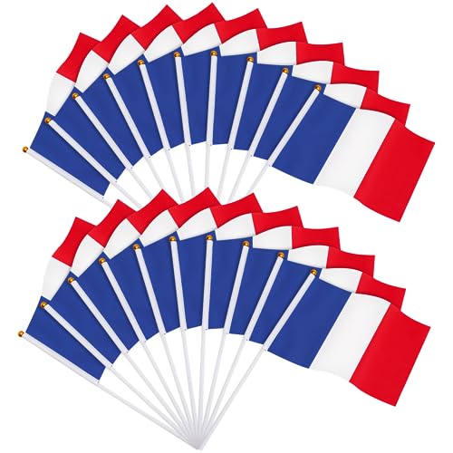 JUNEBRUSHS Lot de 20 mini drapeaux de la France - 14 x 21 cm - Drapeaux nationaux de poche - Décorations 2024 (drapeaux de la France)