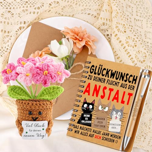 Abschiedsgeschenk Kollegen Abschiedsgeschenk Kollegin Jobwechsel,4 Stück Abschiedsgeschenke für Kollegen,Abschied Kollegin Kollege Dankeschön Geschenke,Ruhestand Geschenk Kollegen Weihnachtsgeschenke