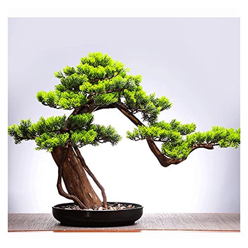 Knstliche Bonsai-Kiefer Aus Kunststoff - Realistische Kunstpflanze Im Topf  Fr Wohnzimmer, Bro & Dekoration, 18 Cm