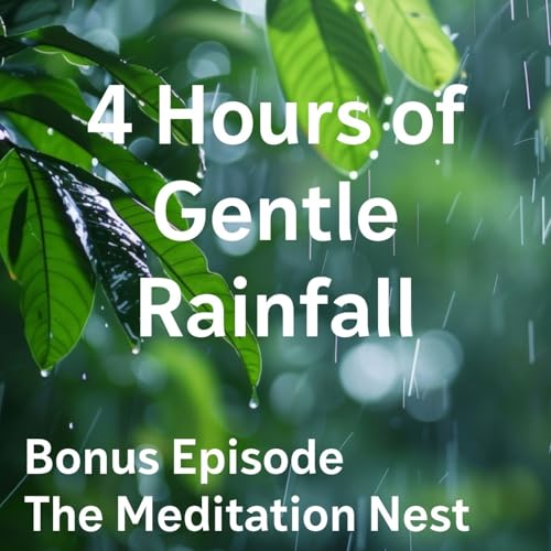 Bonus Episode: Gentle Rainfall for Deep Sleep | 3 Hours of Calming White Noise