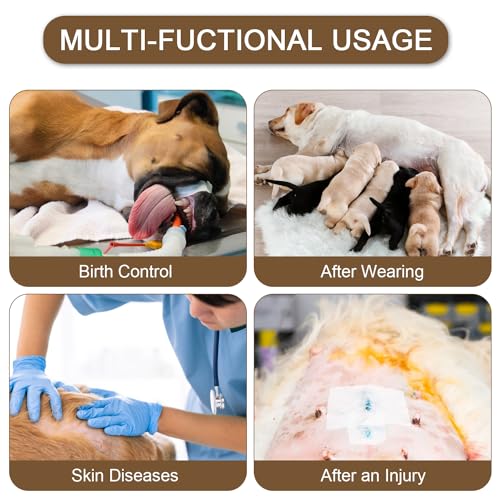 Image of Dog Surgery Suit Female Spay Recovery Suit for Dogs Surgical Recovery Suit for Female Dog Neuter Recovery Suit Male Dogs Onesie for Surgery Fits Small Medium Dog Leopard Print /X-Large