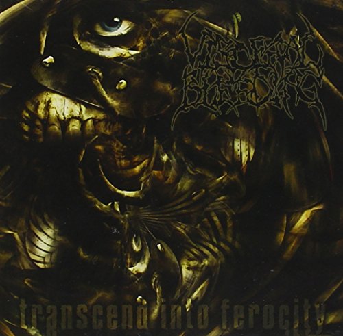 Transcend Into Ferocity