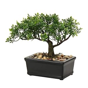 Artificial Bonsai Tree Juniper Faux Plants Indoor Small Fake Plants Decor with Ceramic Pots for Home Table Office Desk Bathroom Shelf Bedroom Living Room Farmhouse Decorations