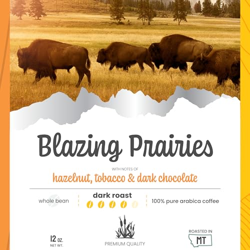 City Brew Blazing Prairies - Café en Grano Tostado Oscuro 12 oz miniatura 5