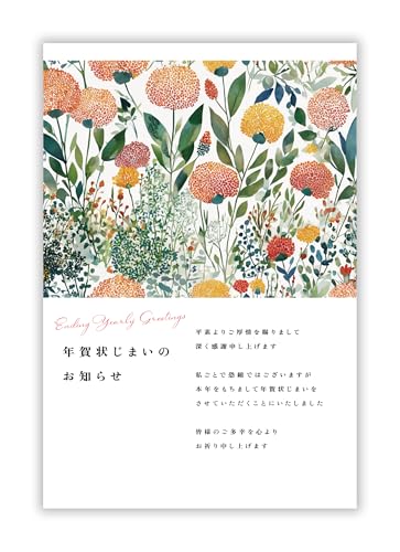 年賀状じまい 年賀状 ハガキ はがき 葉書 10枚 Amazon | 年賀状じまいハガキ 10枚 高齢者 高齢 2024 年賀状