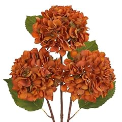 Orange - Dried Hydrangea