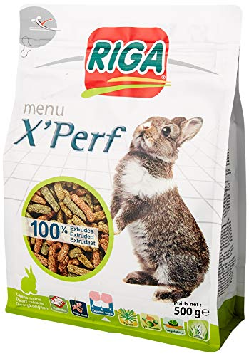 Riga X'PERF dwergkonijn, 500 g - Image 8