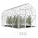 Outsunny Serre Tunnel de Jardin 12m² Transparent Film PO Anti-Goutte Acier Galvanisé 25mm - Structure Renforcée 2 Portes Battantes Robuste - Serre pour Tomates 2,7m Culture d'hiver Potager