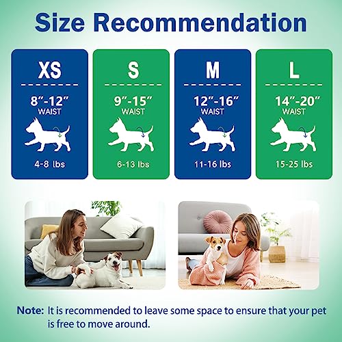 Image of Pet Soft Dog Diapers Female, Disposable Doggie Diapers for Female Dogs, Puppy Cat Diapers with Adjustable Foam Tail Hole, 24pcs (L,Green)