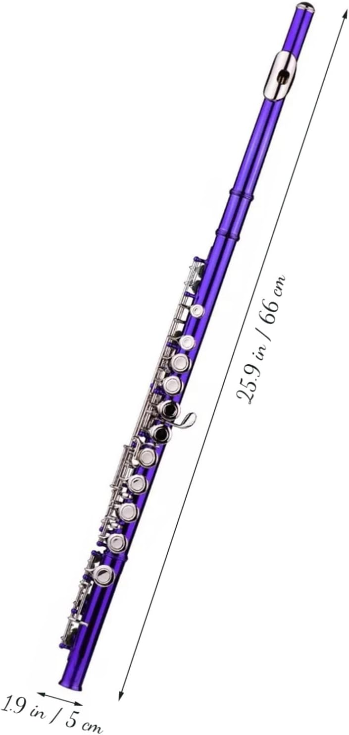 C Flute Keys Metal Flute for Beginners Intermediate School Band Practice Made of Cupronickel Case Cleaning Cloth