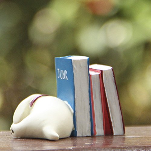 Ryovtop Miniature Fairy Garden Accessories, Fairy Garden Kit, Miniature Figurines Fairy Garden Supplies Diy Micro Landscape Ornaments For Garden Dollhouse Decor (Dog And Books) #TOP1