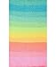 Bulk Buy: Red Heart Super Saver (2-Pack) (Retro Stripe, 5 oz Each Skein)