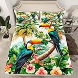 Exotic Birds Fitted Bottom Sheet Queen,Tropical Coconut Tree Botanical Leaves Sheet Set Soft Polyester Bedding(No Top Sheet),Hawaii Flowers Summer Birds Bed Cover(1 Fitted Sheet+2 Pillow Cases)
