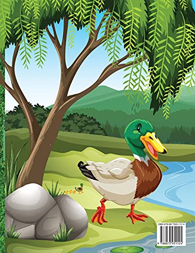 Ducks Coloring Book For Kids And Toddlers: Vol. 4