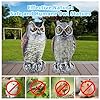Hedoc 2 Pack Fake Owl Decoys to Scare Birds Away, Great Horned Owl Bird Deterrents, Nature Scarecrow Plastic Pest Repellent, Garden Decor and Yard Decoration for Gardens and Rooftops