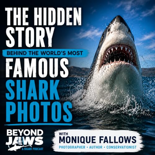 What Does a Camera Have to Do With Saving Sharks?