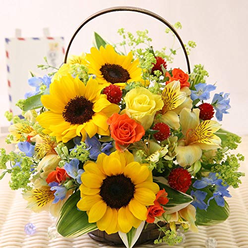 父の日 プレゼント ギフト おまかせ6月のアレンジ 生花 アレンジメント 花 フラワー イベントギフト 2022 父の日 プレゼント ギフト おまかせ6月のアレンジ 生花 アレンジメント 花 フラワー イベントギフト 2022