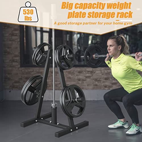 Weight Plate Rack, Bongkim Weight Tree And Weight Rack For Plates, Weight Holder For 2 Inch Olympic Weight Plate, Weight Plate Storage For Home Gym #TOP6