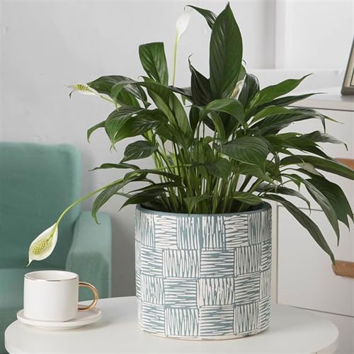 Cache pot ceramique bleu pour une maison végétale et moderne - 6