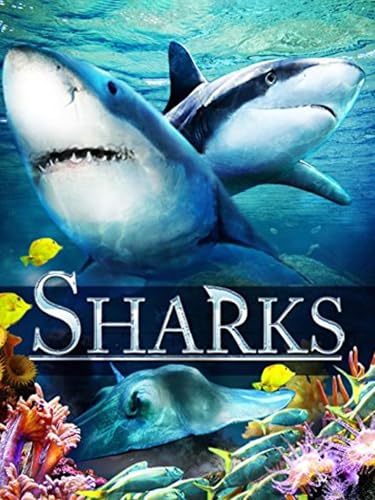  Sharks