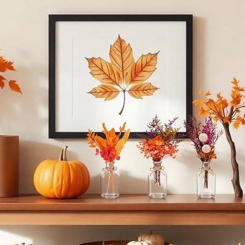 Nuanchu 10 Pcs Fall Dried Flowers Bouquet Boho, 10 Glass Vase, Rope by Nuanchu - Used condition - Image 5