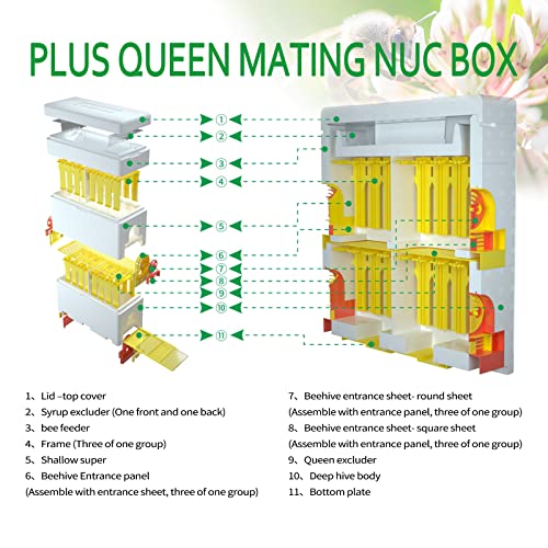 Bee Hives Boxes Plus Double Layer Queen Bee Mating Nuc Box Nuc Box for Bees Queen Rearing Beehive for Beekeeper - Image 6