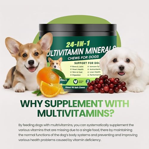 24-in-1 Dog Vitamins and Supplements, Dog Multivitamin Chewable for All Dog | Chondroitin Probiotics Omega-3 Glucosamine for Skin Coat Hip Joint Heart Gut Liver Brain Eye Immune Health, 90 Chews Chicken - Image 4